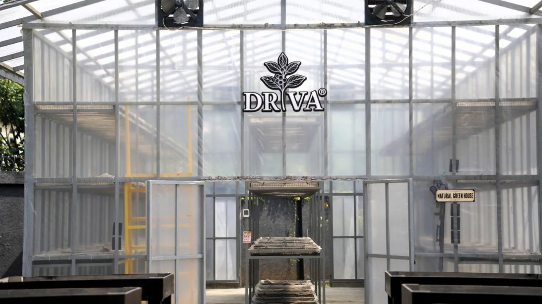 Driva greenhouse and drying beds